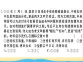 安徽专版九年级道德与法治下册综合检测一作业课件新人教版