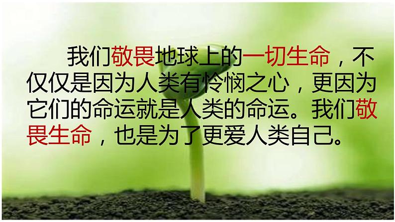 部编版七年级上册道德与法治第四单元 生命的思考第八课 探问生命8.2敬畏生命1课件PPT第1页