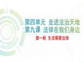 部编版道德与法治七年级下册 生活需要法律实用课件