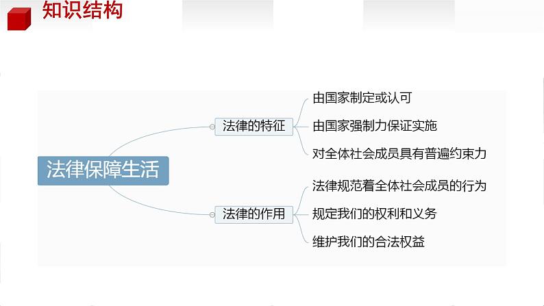 部编版道德与法治七年级下册 法律保障生活实用课件07