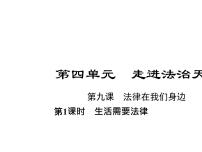 初中政治 (道德与法治)人教部编版七年级下册生活需要法律课文课件ppt