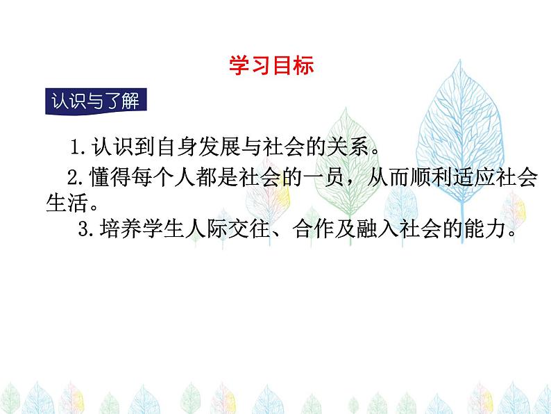 （人教部编版）八年级道德与法治上册教学课件：1.1 我与社会（共20张ppt）第5页