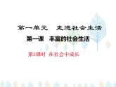 （人教部编版）八年级道德与法治上册教学课件：1.2 在社会中成长（共17张ppt）
