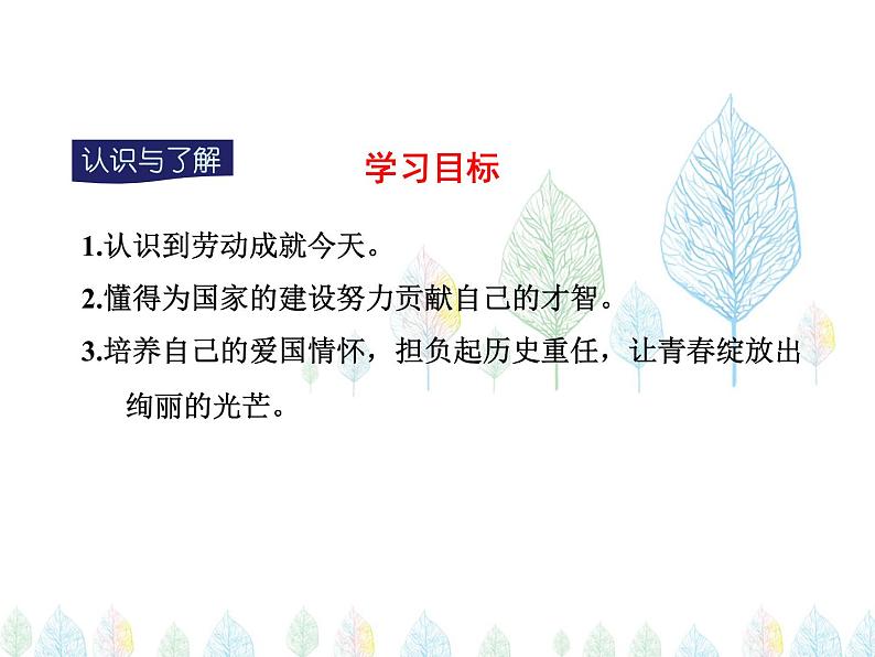 （人教部编版）八年级道德与法治上册教学课件：10.2天下兴亡  匹夫有责 （共18张ppt）03