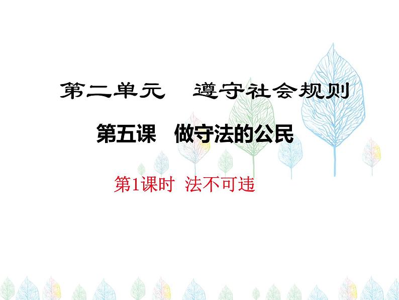 （人教部编版）八年级道德与法治上册教学课件：5.1法不可违 （共23张ppt）第1页