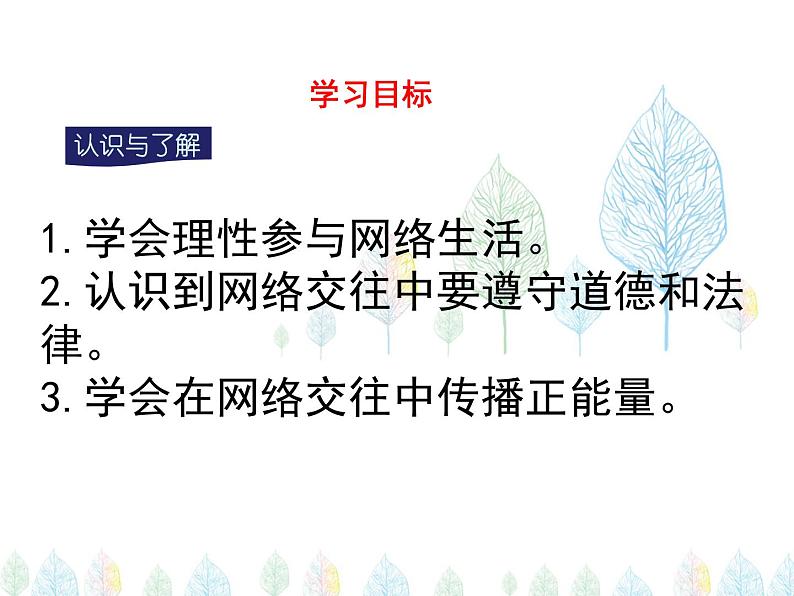 （人教部编版）八年级道德与法治上册教学课件：2.2合理利用网络 （共23张ppt）04