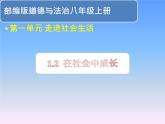 部编版道德与法治八年级上册 1.2 在社会中成长（课件）