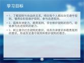 部编版道德与法治八年级上册 《人人遵守规则》实用课件