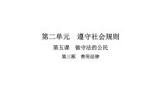 2021学年善用法律背景图课件ppt