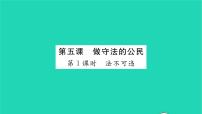 初中政治 (道德与法治)人教部编版八年级上册法不可违习题ppt课件