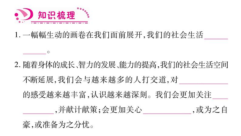 八年级人教版道德与法治（部编版）第一课 丰富的社会生活 （共40张PPT）第3页