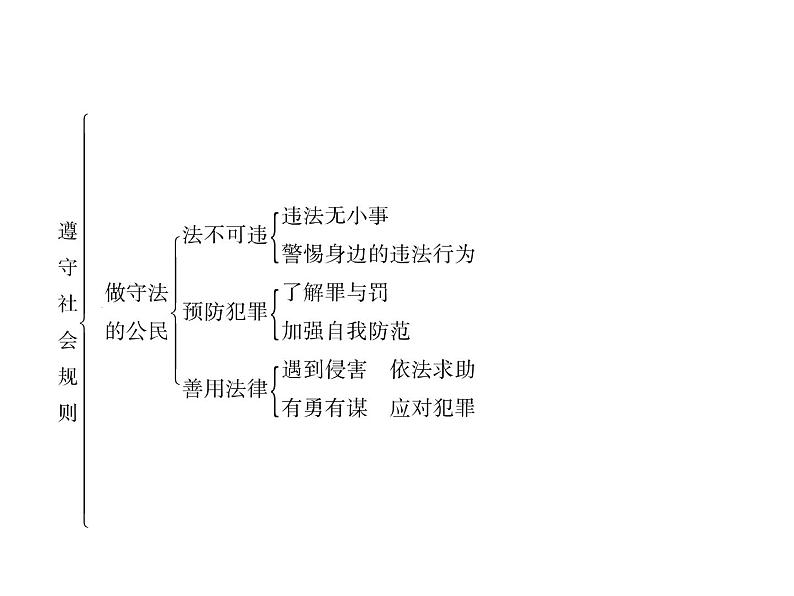 八年级道德与法治上册同步作业课件：期末专题复习 二 遵守社会规则 (共20张ppt)第2页