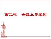 部编版道德与法治九年级上册 6.2 共筑生命家园 课件 （14张ppt 内嵌视频）
