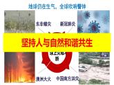 部编版道德与法治九年级上册 6.2 共筑生命家园 课件 （14张ppt 内嵌视频）