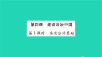 人教部编版九年级上册夯实法治基础习题ppt课件