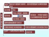 部编版道德与法治八年级下册 第六课 我国国家机构 复习课件（14张PPT）