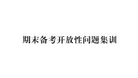 部编人教版道德与法治八年级下册期末备考开放性问题集训课件（32张ppt)