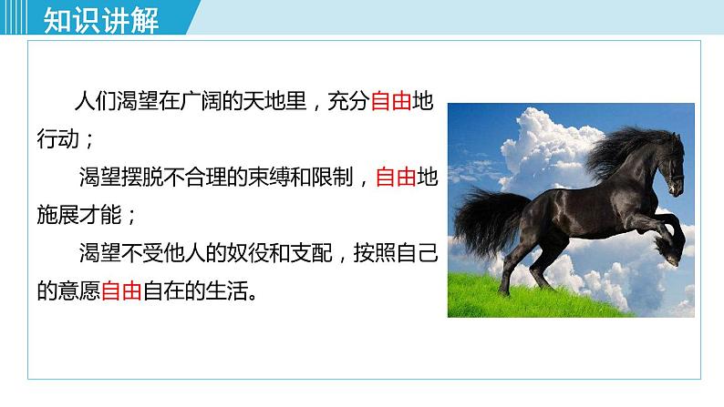 人教版八年级道法下册 7.1自由平等的真谛 课件05