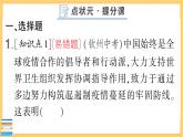 道德与法治九年级下册 2.3.1 中国担当 习题课件PPT