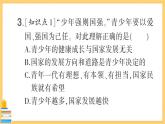 道德与法治九年级下册 3.5.2 少年当自强 习题课件PPT
