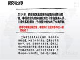 2021-2022学年部编版道德与法治九年级下册 3.1 中国担当课件 (共计26张PPT)