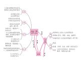 2022年河北中考道德与法治一轮复习课件：专题二  第1课时　法律在我们身边