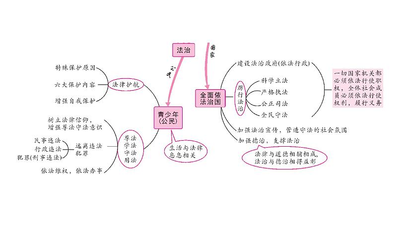 2022年河北中考道德与法治一轮复习课件：专题二  第1课时　法律在我们身边第3页