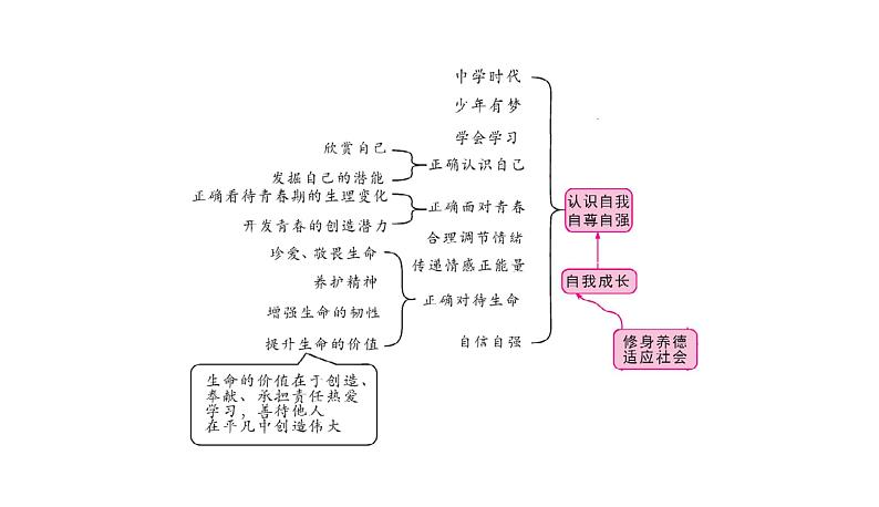 2022年河北中考道德与法治一轮复习课件：专题四 第1课时　认识自我第2页