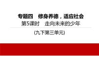 2022年河北中考道德与法治一轮复习课件：专题四第5课时　走向未来的少年