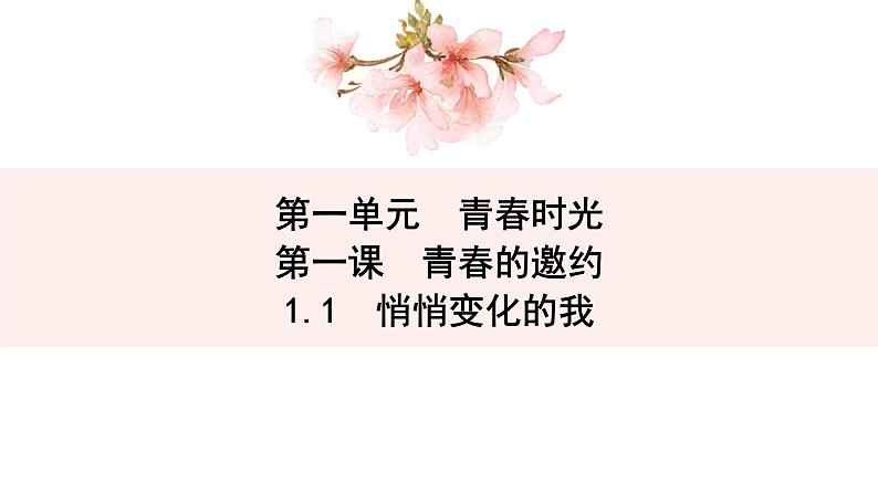 2021-2022学年统编版七年级下册1.1悄悄变化的我 课件第2页