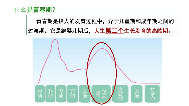 2021-2022学年统编版七年级下册1.1悄悄变化的我 课件第6页