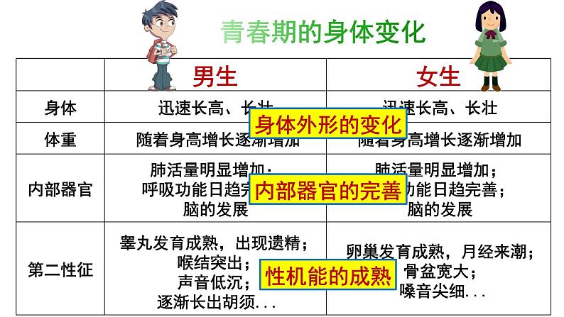 2021-2022学年统编版七年级下册1.1悄悄变化的我 课件第7页