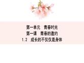 2021-2022学年统编版七年级下册1.2成长的不仅仅是身体 课件（29张）