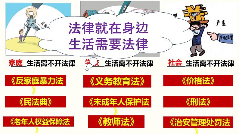 2021-2022学年统编版七年级下册9.1生活需要法律 课件（25张）第5页