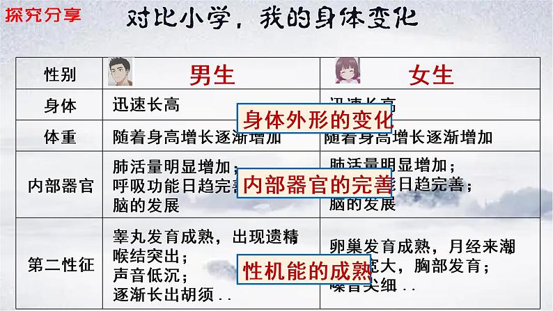 2021-2022学年统编版七年级下册1.1悄悄变化的我课件（20张）05