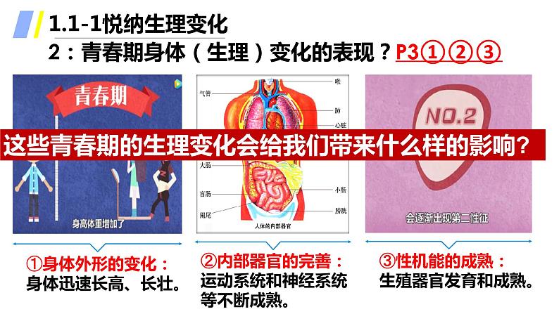 2021-2022学年统编版七年级下册1.1悄悄变化的我_ 课件（26张）第8页