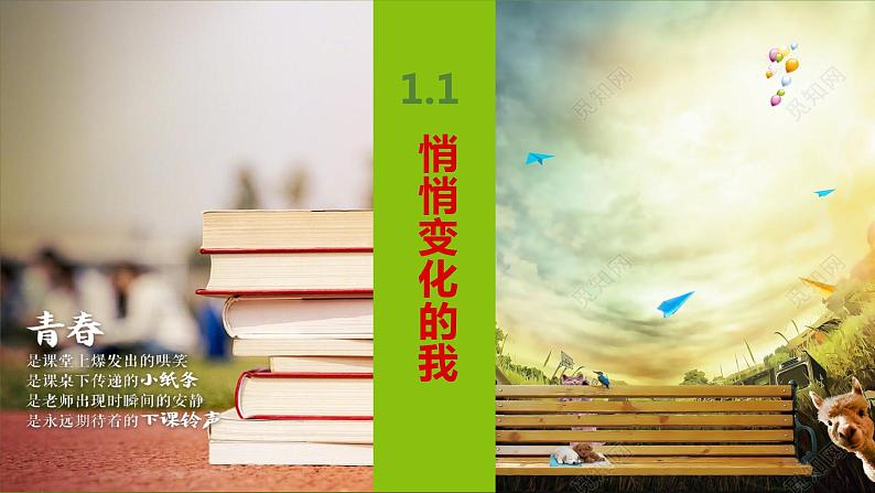 2021-2022学年统编版七年级下册1.1悄悄变化的我 课件（30张） (2)第3页