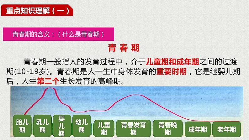 2021-2022学年统编版七年级下册1.1悄悄变化的我 课件（30张） (2)第7页