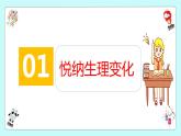 2021-2022学年统编版七年级下册 1.1 悄悄变化的我 课件 （36张）