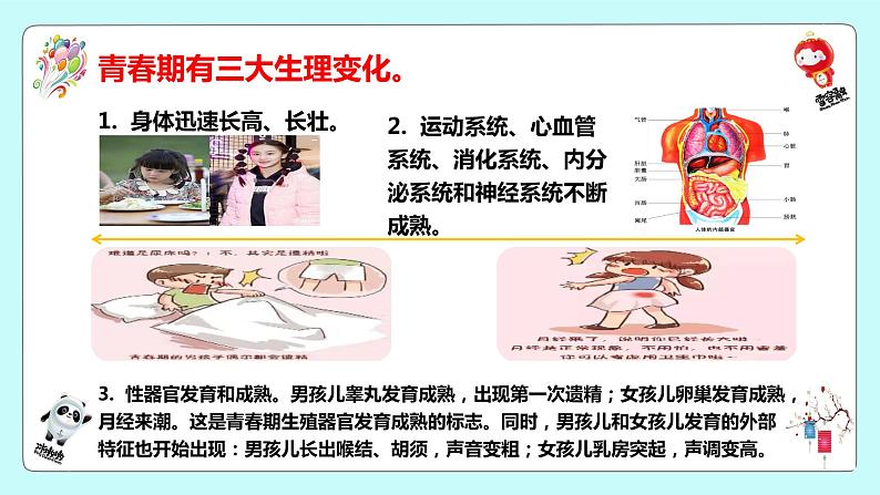 2021-2022学年统编版七年级下册 1.1 悄悄变化的我 课件 （36张）08