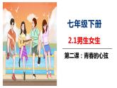 2021-2022学年统编版七年级下册 2.1男生女生  课件（17张）