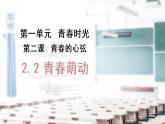 2021-2022学年统编版七年级下册 2.2 青春萌动  课件（24张）