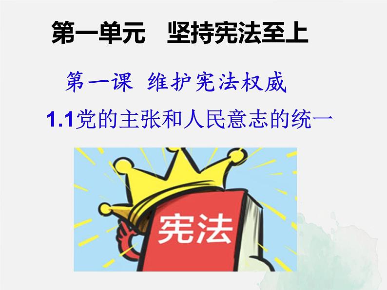 2021-2022学年统编版八年级下册 1.1  党的主张和人民意志的统一  课件 （45张）第3页