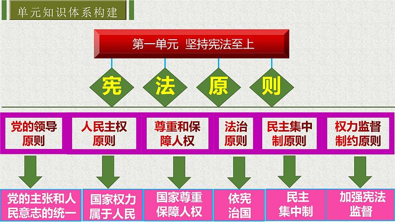 2021-2022学年统编版八年级下册 1.1党的主张和人民意志的统一 课件 第3页