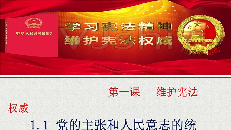 2021-2022学年统编版八年级下册 1.1党的主张和人民意志的统一 课件 第4页