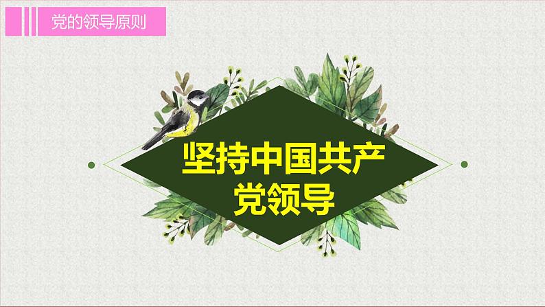 2021-2022学年统编版八年级下册 1.1党的主张和人民意志的统一 课件 第6页