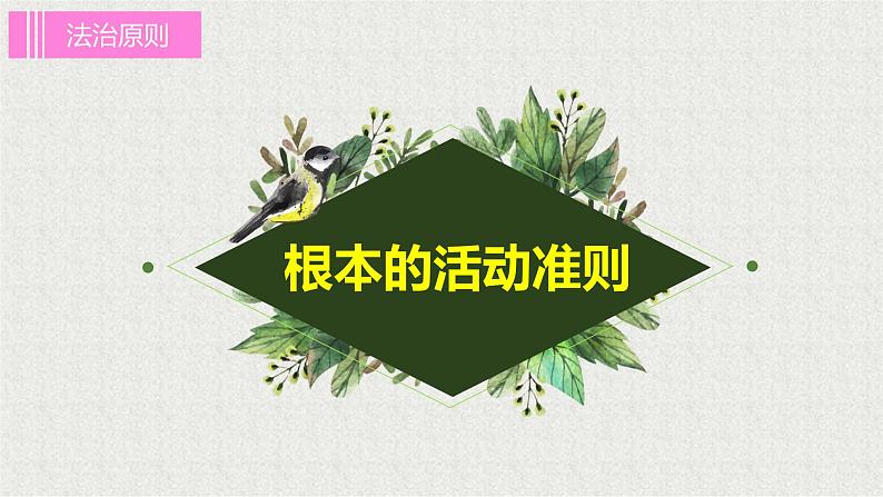 2021-2022学年统编版八年级下册 2.1坚持依宪治国  课件 （29张）第5页