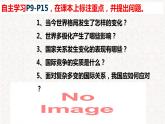 2021-2022统编版九年级下册 1.2复杂多变的关系  课件 （21张） (2)