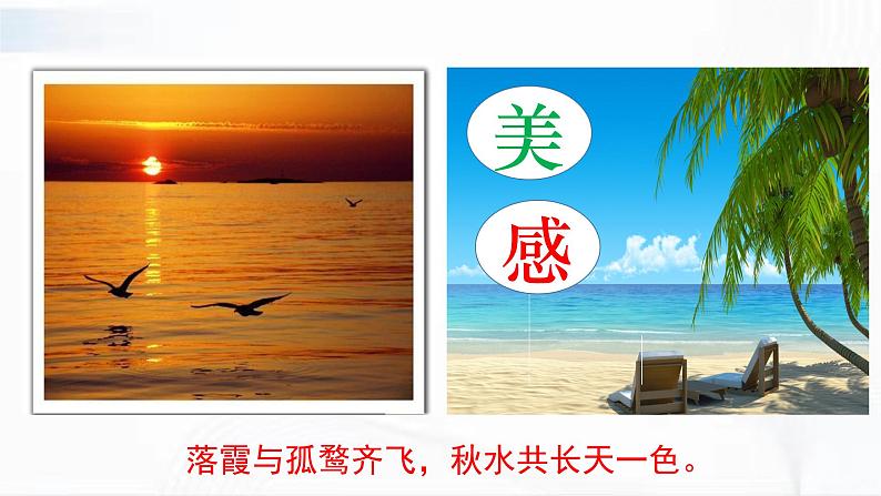 部编版道德与法治七年级下册 5.2 在品味情感中成长 课件+视频素材05