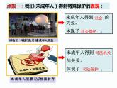 10.1法律为我们护航课件-2021-2022学年部编版道德与法治七年级下册